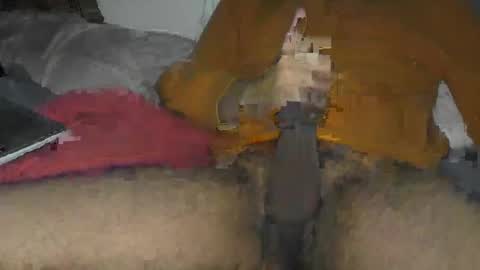 Beaverpounder  free online show from 10, 3, 2025