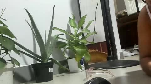 Snapshot of bebesitadiaz chatting on 11, 4, 2026 bebesita online show from 11, 4, 2026