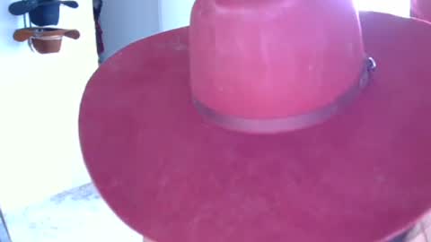 Snapshot of beccaraexoxo chatting on 8, 8, 2026 beccaraexoxo online show from 8, 8, 2026