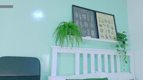 BELA online show from 7, 10, 2025