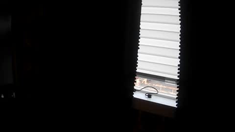 belessa4u online show from 20, 3, 2026