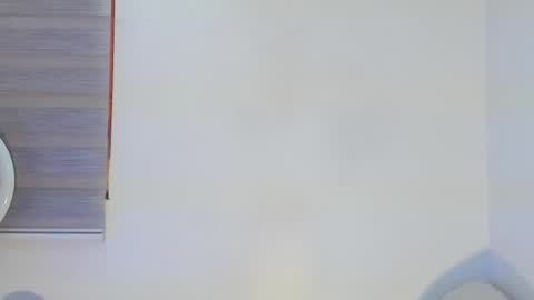 Snapshot of bella_hadid1_ chatting on 29, 4, 2026 Laura online show from 29, 4, 2026