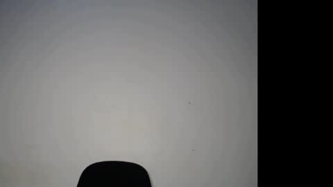 bella online show from 13, 11, 2025