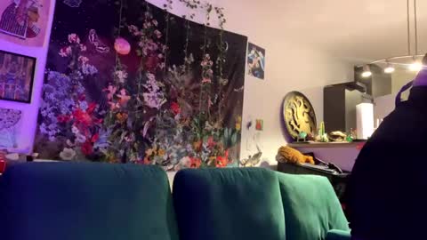 Snapshot of belladraconis chatting on 18, 2, 2025 belladraconis online show from 18, 2, 2025