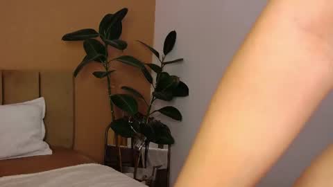 Snapshot of bellahere chatting on 14, 7, 2026 Diana online show from 14, 7, 2026