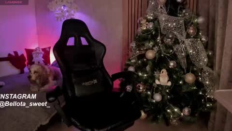  Bella  online show from 3, 12, 2025