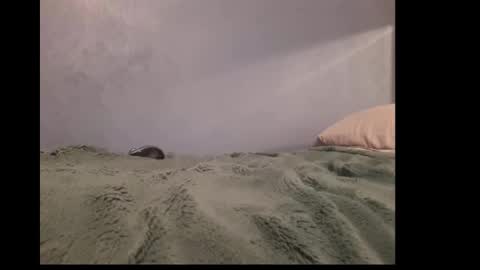 Snapshot of beobenshauna chatting on 19, 12, 2024 beobenshauna online show from 19, 12, 2024