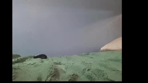 Snapshot of beobenshauna chatting on 2, 1, 2025 beobenshauna online show from 2, 1, 2025