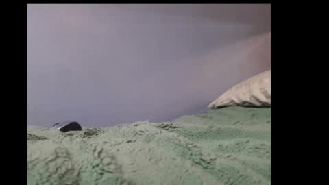 Snapshot of beobenshauna chatting on 21, 1, 2025 beobenshauna online show from 21, 1, 2025