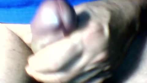 bersekbek online show from 4, 11, 2025