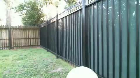 Snapshot of betablue2222 chatting on 5, 3, 2026 Blue online show from 5, 3, 2026