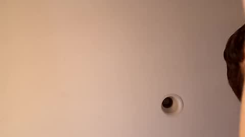 bgiamba21 online show from 16, 10, 2025