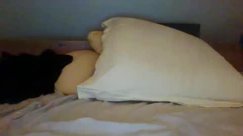 Snapshot of bibipheuck chatting on 13, 11, 2025 bibipheuck online show from 13, 11, 2025