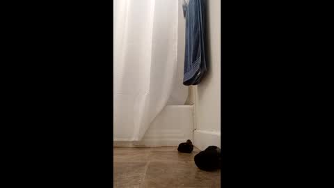 Snapshot of bibottom68942 chatting on 22, 12, 2025 bibottom68942 online show from 22, 12, 2025