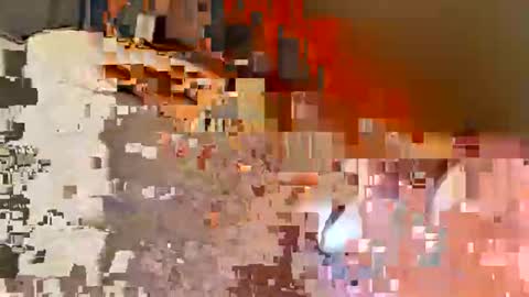 biff768816 online show from 2, 2, 2026