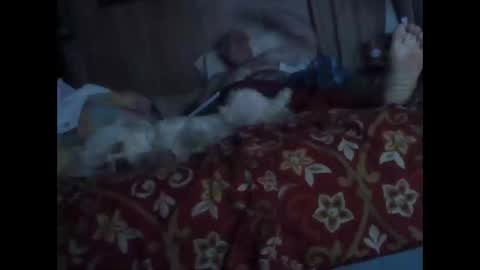 Snapshot of bigbenidick1 chatting on 20, 10, 2025 BB online show from 20, 10, 2025