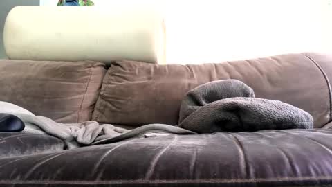 bigboadick online show from 31, 10, 2025