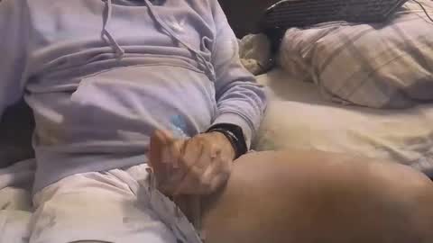 Snapshot of bigboytoy_12 chatting on 3, 3, 2025 L e g a l S t u f f Any UNAUTHORIZED use of this profile video pictures or audio in any form or in a forum now or in the fu online show from 3, 3, 2025