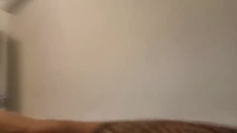 bigcockinkbr online show from 15, 4, 2026