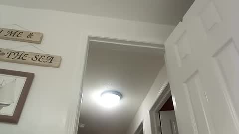 bg online show from 19, 12, 2024