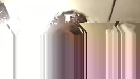 Snapshot of bigdaddy1988_ chatting on 3, 11, 2025 Big Daddy 1988 S online show from 3, 11, 2025