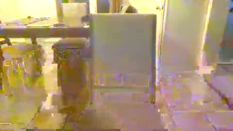 bigdeer581917471 online show from 8, 6, 2026