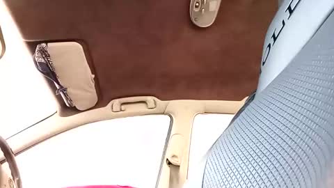 bigdiccbrannn online show from 19, 10, 2025