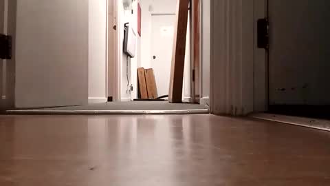 bigdiccbrannn online show from 5, 11, 2025