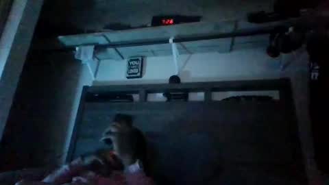 Snapshot of bigdickdaddy3200798456 chatting on 28, 12, 2024 bigdickdaddy3200798456 online show from 28, 12, 2024