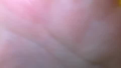 Snapshot of bigdickitalian137 chatting on 29, 9, 2025 bigdickitalian137 online show from 29, 9, 2025