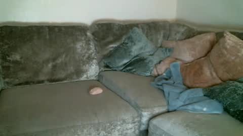 Snapshot of bigdickjimmywill chatting on 11, 2, 2025 CAJEinc online show from 11, 2, 2025