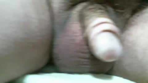 BigDog online show from 11, 11, 2025