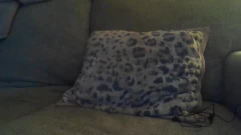 bigdt444420 online show from 17, 11, 2025