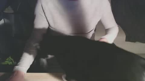 BigDutchEnergy online show from 28, 2, 2026