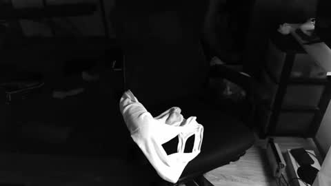 biglongt online show from 9, 11, 2025