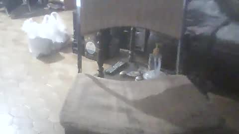 Snapshot of bigpenix chatting on 7, 2, 2026 bigpenix online show from 7, 2, 2026