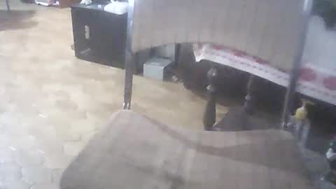 Snapshot of bigpenix chatting on 1, 4, 2026 bigpenix online show from 1, 4, 2026