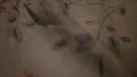 Snapshot of bigpoppadutch666 chatting on 16, 1, 2026 bigpoppadutch666 online show from 16, 1, 2026