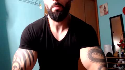 BigStallion online show from 8, 12, 2024