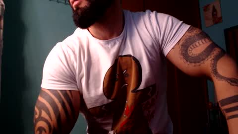 BigStallion online show from 15, 12, 2024