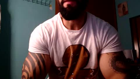 BigStallion online show from 18, 12, 2024