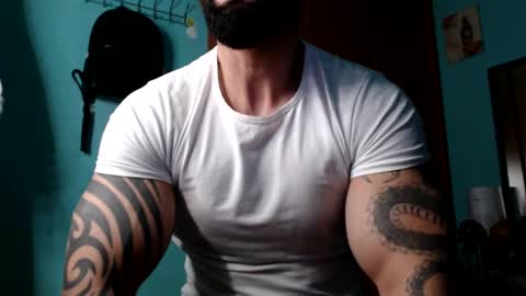 BigStallion online show from 5, 1, 2025