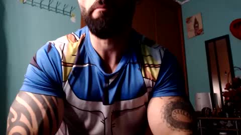 BigStallion online show from 15, 2, 2025