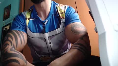 BigStallion online show from 5, 10, 2025