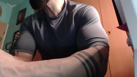 BigStallion online show from 31, 1, 2026