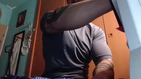 BigStallion online show from 3, 2, 2026