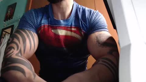 BigStallion online show from 9, 3, 2026