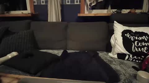 bigswe1 online show from 16, 12, 2024