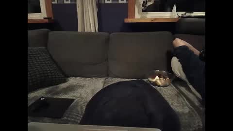 bigswe1 online show from 5, 3, 2025