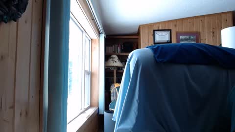 bigthicksatisfying2 online show from 9, 3, 2025